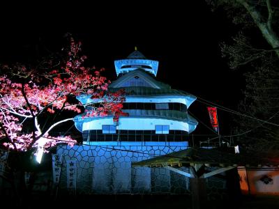 2019年　4月　滋賀県　甲賀市　水口曳山祭　水口岡山城