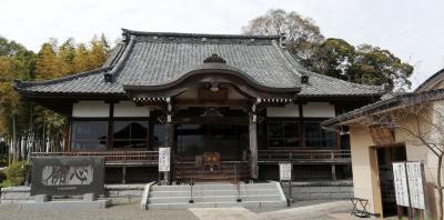 安国寺のしだれ桜は、葉桜だった