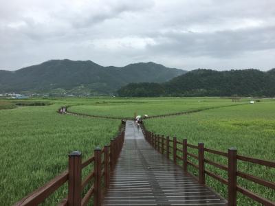 中年女子、釜山・順天・扶余に行く！3泊4日のたび②後編