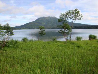 2018年７月は花の尾瀬の旅二泊三日[下]白砂田代から尾瀬沼へ、そして大江湿原を抜けて長蔵小屋泊