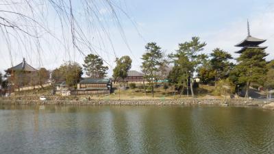 奈良の世界遺産を歩く．１　奈良公園から春日奥山原生林