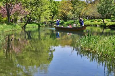 河川環境楽園 オアシスパーク　2019   春便り花便り