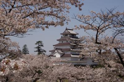 鶴ヶ城＆日中線でお花見2019