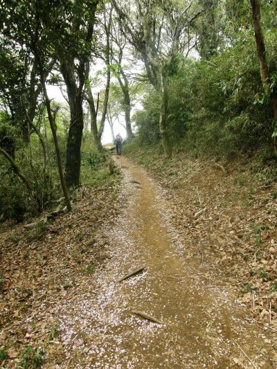 新緑の宝篋山に登る