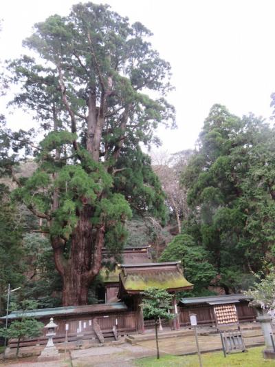 早春の北陸パワースポット旅行　1/2 金沢、芦原温泉、東尋坊、東小浜、福井