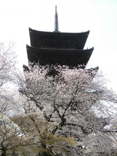 京都、ゆっくり桜巡り