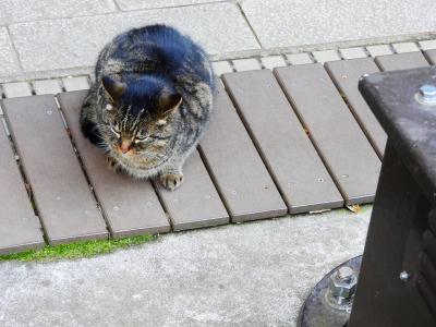 鎌倉と江の島旅行