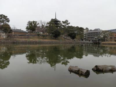 町家の面影を今に伝える、奈良町の旅
