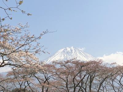 最高の富士山に出会える田貫湖に