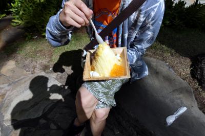 ２２．長男と行くハワイ3泊　車チャーター観光　ホノルルダウンタウンを車窓観光　陸軍博物館　アイランドヴィンテージシェイブアイス　ワイキキ横丁