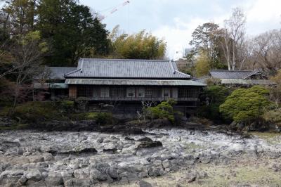 ０１．三島市立公園 楽寿園（らくじゅえん）その１　