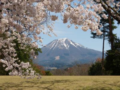 桜さくら　米子城址＆とっとり花回廊