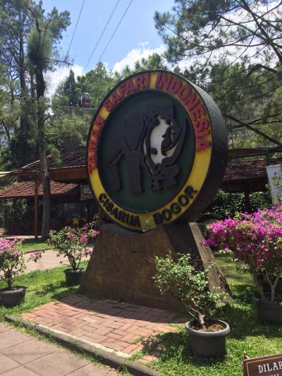 インドネシア旅①何もないと言われるジャカルタへ、、それが想像以上に楽し過ぎた！！