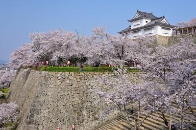 津山 花見 に関する旅行記 ブログ フォートラベル 岡山県