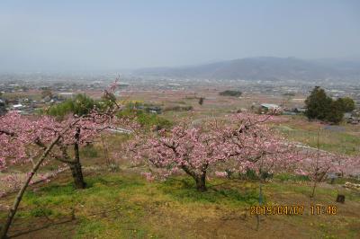 笛吹市：桃源郷お花見ウオーク