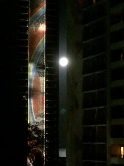 2019年やっぱり日本の食事はコスパ最高~!8泊10日ハワイ旅帰国編