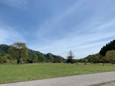 新緑の湖を巡るドライブ