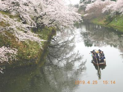2019年　平成31年4月　春の東北、みちのく一人旅・弘前公園で花見 　弘前・青森で歩け歩け