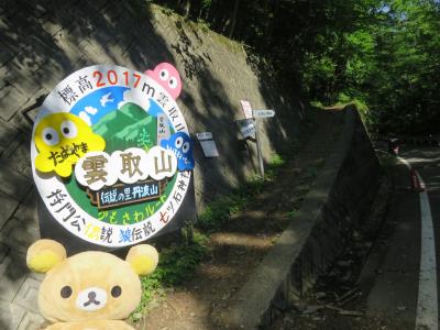 鴨沢～飛龍山に行ってクマす（鴨沢～雲取山）