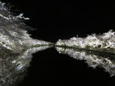 2019GW 東北・北海道旅行記　3.弘前城（夜桜）