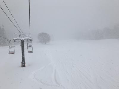 呑みに行っただけの野沢温泉