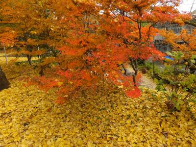 姶良市を自転車で走り回り体力消耗