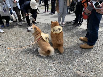 飛騨高山 思い出の旅