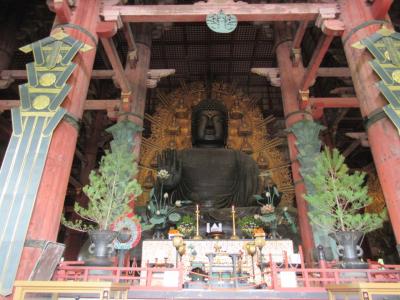 奈良の大仏、春日大社、奈良市内を周遊。
