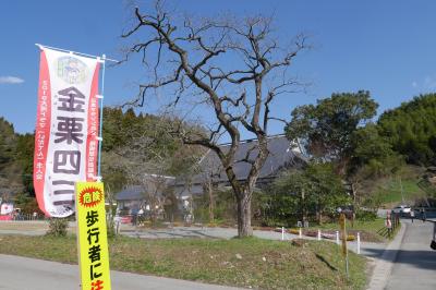 【熊本：天草】天草・熊本の旅⑥  　～金栗四三生家～