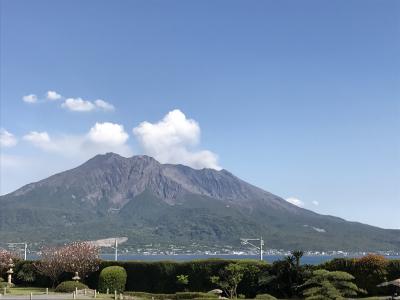 西郷どんに会いたくて♪