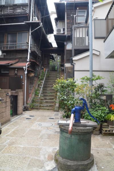 東京散歩　神田から旧岩崎邸庭園・樋口一葉ゆかりの地を巡り東京大学へ行きました。
