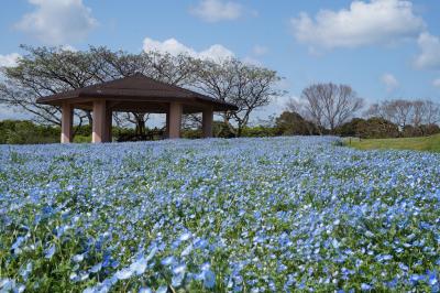 海ノ中道海浜公園