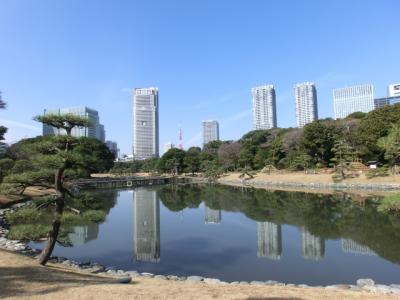 浜離宮恩賜庭園♪～２０１９～