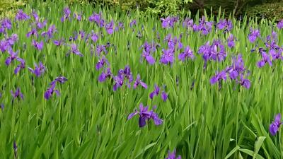 美術館巡り　2019.4.29