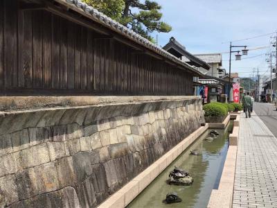 旧東海道由比宿を歩き希少桜えびを食す日帰りウォーキング