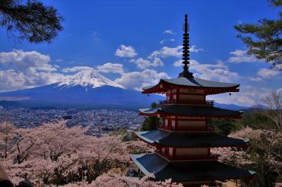 桜紀行　荒倉浅間公園