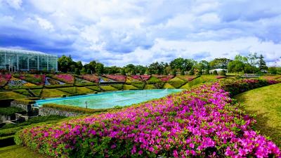 はままつフラワーガーデンで季節の花を満喫