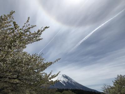 今年初で平成最後に、日本一のパワースポットへ