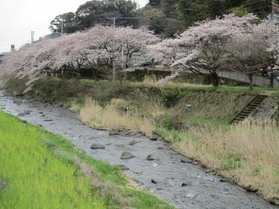 春の旅行