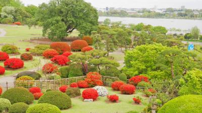 春なのに寒空の下で水戸散歩♪ ～偕楽園と千波湖へ～