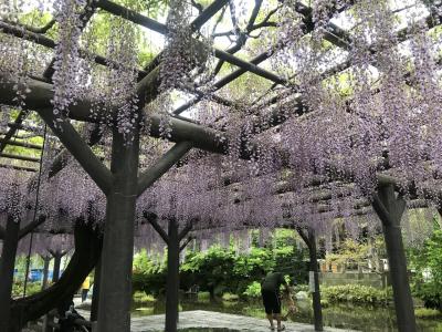 東武亀戸線大師線乗りつぶしてからの西新井大師への旅