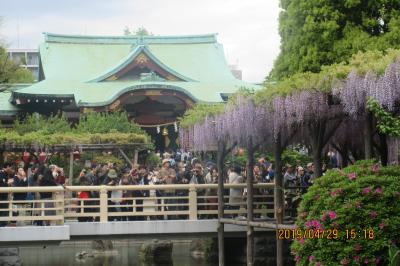 東京ぶらり旅 ： 亀戸天神 ・ふじ祭り