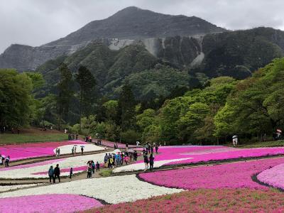 【iPhone Xで撮影】GWに秩父・芝桜を観光