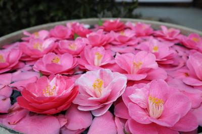 京都・さんぽ地図の旅　④銀閣寺～哲学の道