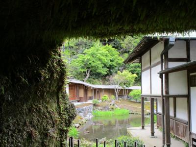 平成の終わりに鎌倉散策