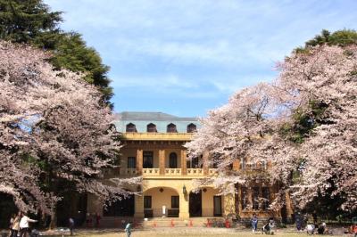 目黒・渋谷桜巡り：目黒川、西郷山公園、鍋島松濤公園、東大駒場キャンパス、駒場公園、旧前田家本邸、天空庭園など2019年4月