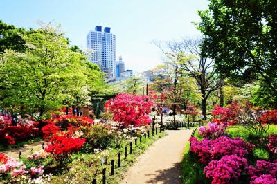 東京2019・練馬の平成つづじ園は見頃でした^^/