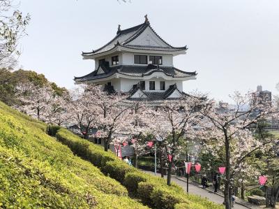 名鉄ハイキング「尾張旭・城山公園さくらまつり」に参加