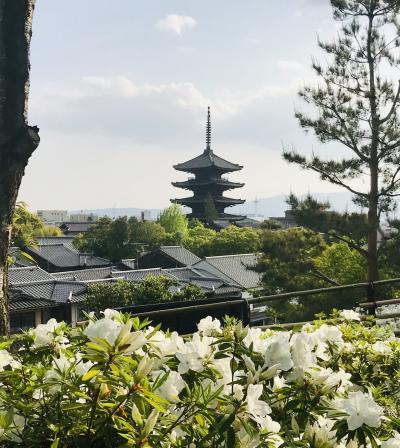 令和初旅 母と京都へ