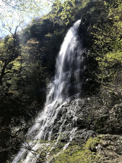 天滝までドライブでひとりGWを満喫